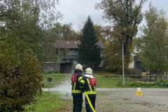 IMG-20221017-WA0082