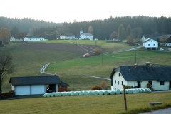 IMG_7899