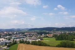 IMG-20190805-WA0036