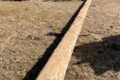 20260228_095849231_iOS