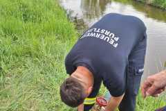 IMG-20250503-WA0036