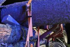 IMG_4694-min