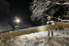 IMG-20230202-WA0010