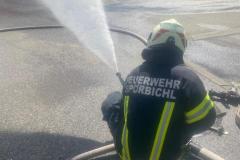IMG-20260411-WA0036