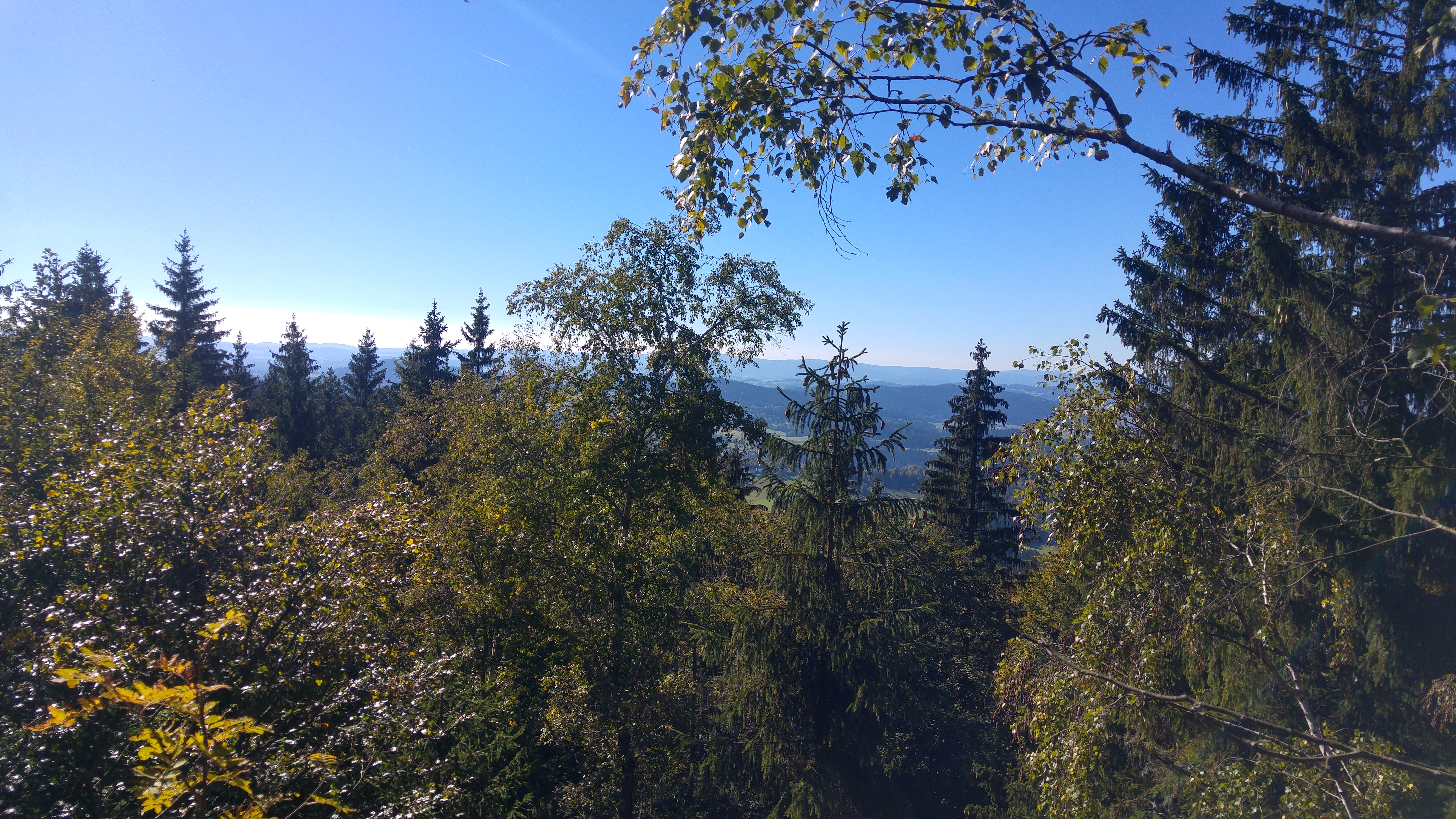 20180930_145440_HDR
