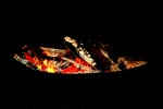 Kopie von IMG_6802