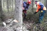 20160430_194436